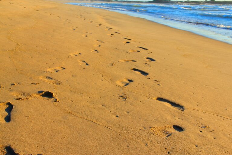 footsteps-3790882_1920